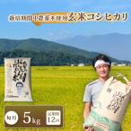 新米 特別栽培米 令和8年度産 コシヒカリ