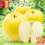 りんご シナノゴールド 約10kg