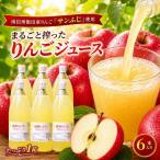 すりおろし りんご ジュース 6本