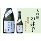 年に一度だけの超希少品 大吟醸 一の井手