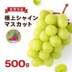 シャインマスカット ふくぷる 500g