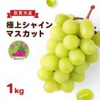 シャインマスカット ふくぷる 1.0kg