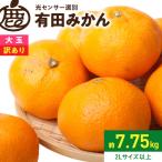 大きな有田みかん約7.5kg+250g