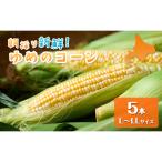 とうもろこし ゆめのコーン 富良野産