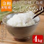 種子島 こしひかり 4kg