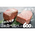 ふるさと納税 【2週間〜発送】訳あり 飛騨牛ブロック [塊] 計600g 霜降り肉 赤身肉 ブロック肉 300g×2 食べ比べ 部位お任せ 不揃い BBQ 焼.. 岐阜県白川村