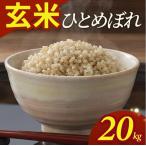 SD0375 令和8年産 ひとめぼれ 20kg