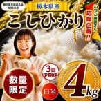 令和8年度産 コシヒカリ 4kg