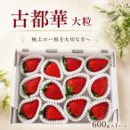 和だや 大粒 2月よりなくなり次第終了 古都華