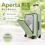 Apertaライトキャリー中型アイスグリーン 4.3kg