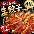 あつぎ豚 生餃子 セット 40個