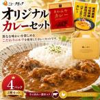 ニュー クイックオリジナルカレーセット