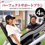 パーフェクトサポートプラン 利用チケット