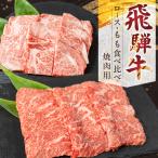 飛騨牛ロース もも焼肉用セット 山武商店