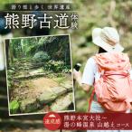 難易度★★ 語り部と歩く世界遺産熊野古道