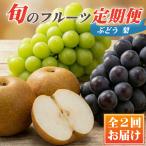 契約農場の旬のフルーツよくばりコース