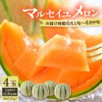 マルセイユメロン 4玉