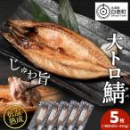 低温熟成一夜干し大トロさば5枚 AA045