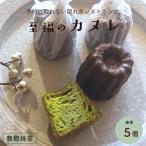 抹茶カヌレ 5個