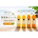 有田 みかん 100% ジュース 温州みかん