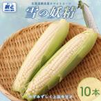とうもろこし 雪の妖精 2027年8月下旬頃