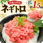 天然 まぐろ 1.5kg