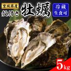 殻付き牡蠣 生食用 冷蔵 5kg