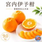 伊予柑 約9.0kg
