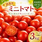 ミニトマト 訳あり 3kg