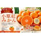 みかん 定期便 小原紅みかん