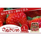 いちご さぬきひめ