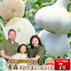 先行受付 青森 幻の生にんにく7玉 農家直送