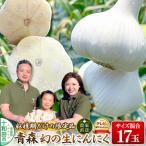 先行受付 青森 幻の生にんにく17玉 農家直送