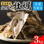 殻付き牡蠣 生食用 冷凍 3kg