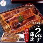 浜名湖産うなぎ蒲焼 3尾