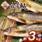 白子鮎約3kg N070-YC426-1