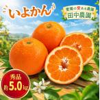 伊予柑 いよかん 約5kg