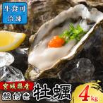 殻付き牡蠣 生食用 冷凍 4kg