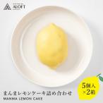 まんまレモンケーキ詰め合わせ 5個入×2箱