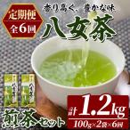 八女茶 煎茶 セット 100g×2袋×毎月連続6回