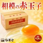 fu.... налог Sagami. красный шар . примерно 5kg 75 шт + трещина гарантия 5 шт ~ Kanagawa префектура love река блок ~[ рассылка не возможно регион : отдаленный остров ][1745588] Kanagawa префектура love река блок 