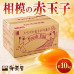 fu.... налог Sagami. красный шар . примерно 10kg 140 шт + трещина гарантия 10 шт передний и задний (до и после) [ рассылка не возможно регион : отдаленный остров ][1745589] Kanagawa префектура love река блок 