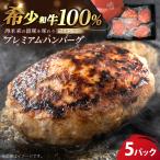 五島牛ハンバーグ 100g×5パック