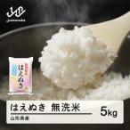 はえぬき 無洗米 5kg