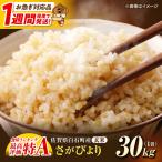 令和7年産 さがびより 玄米 30kg