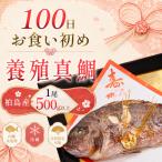 お食い初め 真鯛 1尾