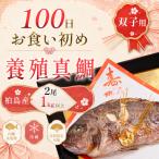 お食い初め 真鯛 2尾