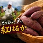 紅はるか 5kg