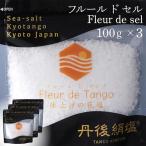天然塩 フルールドセル 100g×3袋