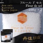 天然塩 フルールドセル 100g×2袋